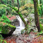 A Dream Deferred Pelion * Kissos (Thessaly)