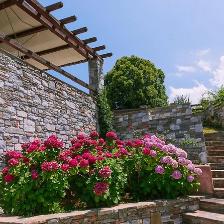 A Dream Deferred Pelion