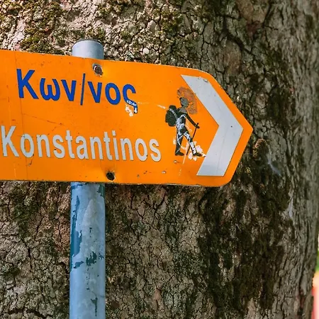 Βίλα A Dream Deferred Pelion Κισσός