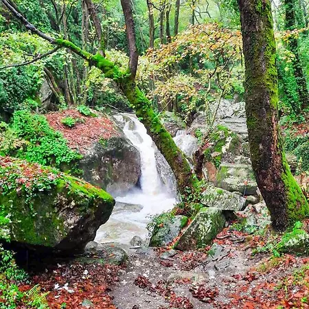 A Dream Deferred Pelion * Kissos (Thessaly)