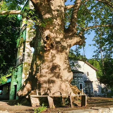 Vila A Dream Deferred Pelion Kissos (Thessaly)