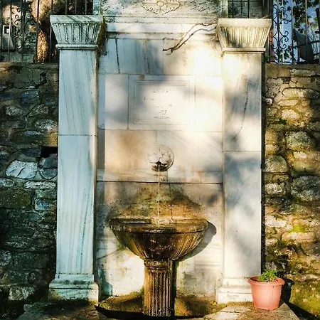 A Dream Deferred Pelion * Κισσός