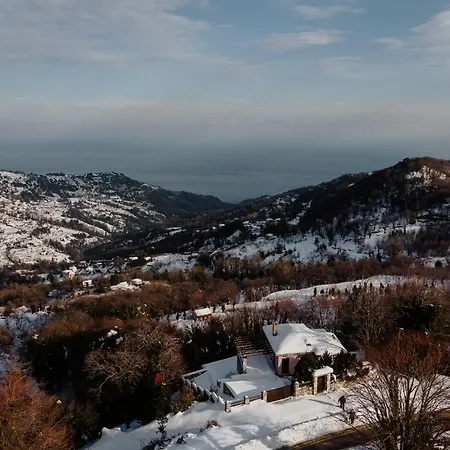 A Dream Deferred Pelion *