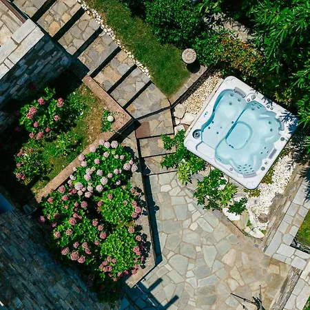 Βίλα A Dream Deferred Pelion Κισσός