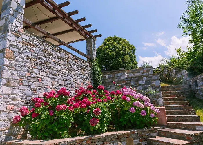 A Dream Deferred Pelion