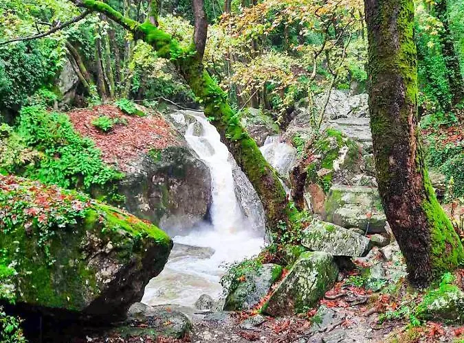 A Dream Deferred Pelion * Κισσός