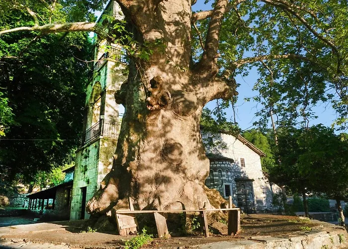 Βίλα A Dream Deferred Pelion Κισσός