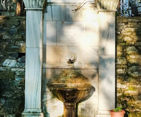 A Dream Deferred Pelion * Κισσός